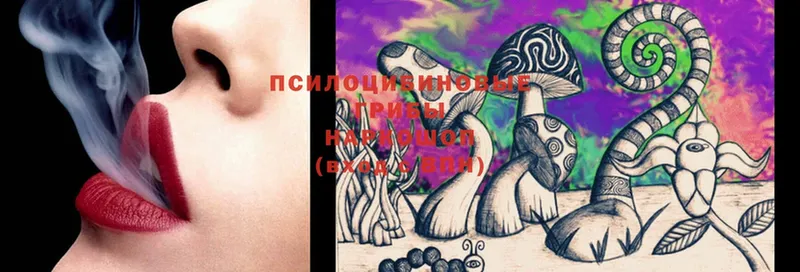 Псилоцибиновые грибы Cubensis  Рузаевка 